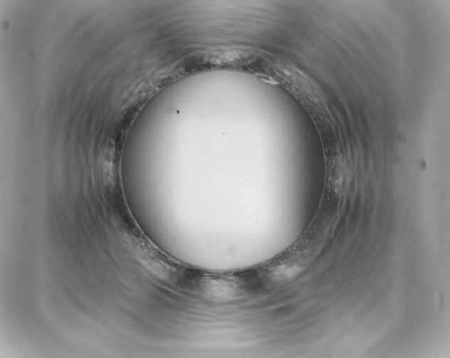 X0000087750510200705211040