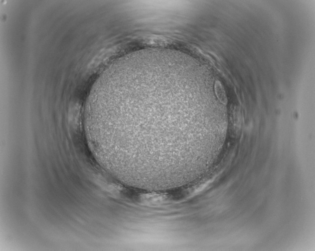 X0000087750511200705211040