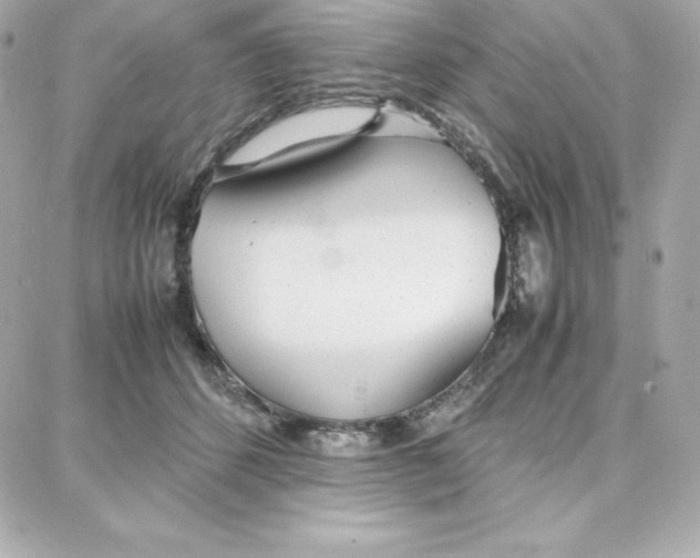 X0000087750512200705211040