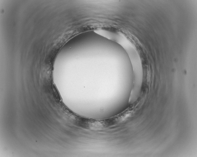 X0000087750513200705211040