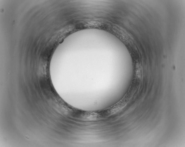 X0000087750514200705211040