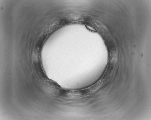 X0000087750515200705211040