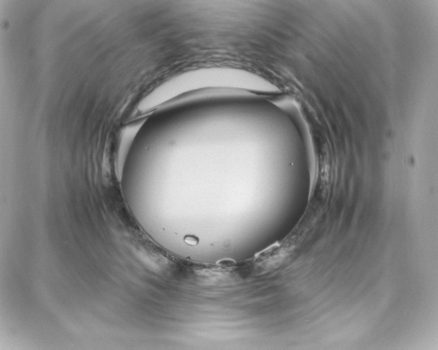 X0000087750516200705211040