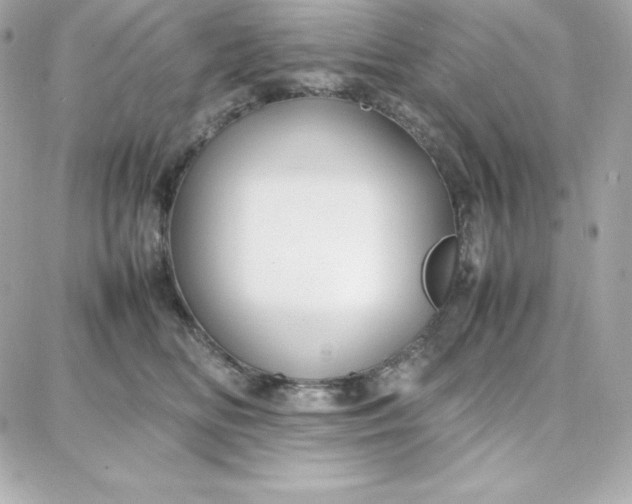 X0000087750518200705211040