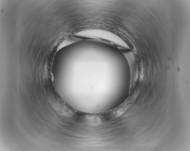 X0000087750520200705211040