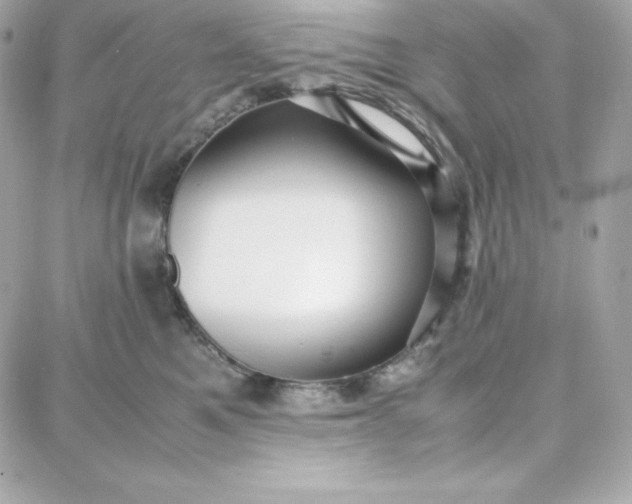 X0000087750521200705211040