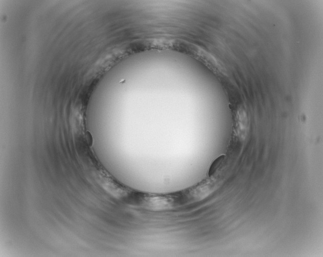 X0000087750522200705211040