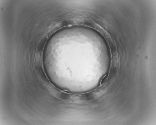 X0000087750523200705211040