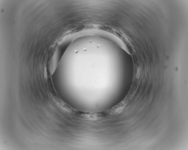 X0000087750524200705211040