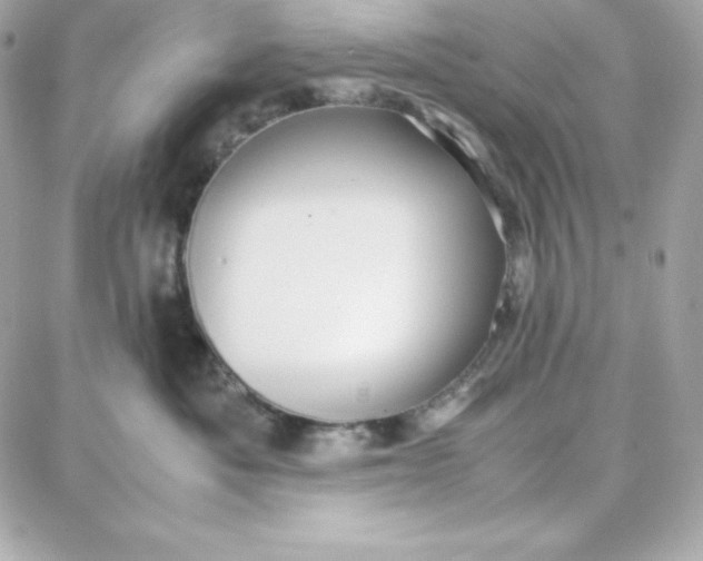 X0000087750525200705211040