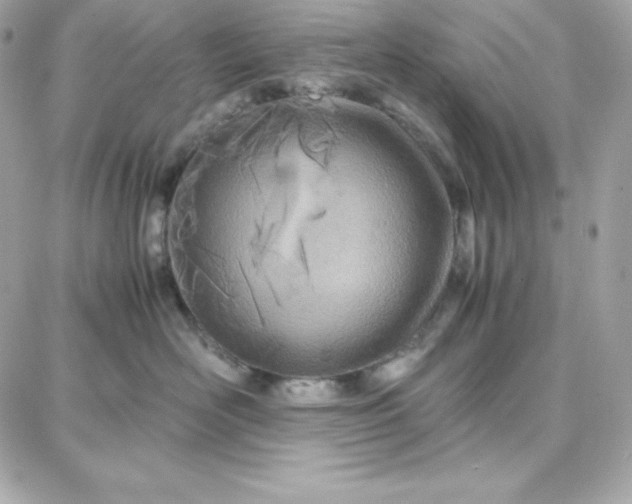 X0000087750526200705211040