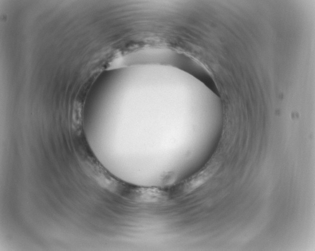 X0000087750528200705211040