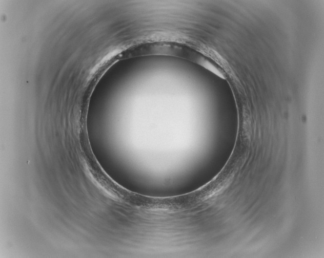 X0000087750530200705211039