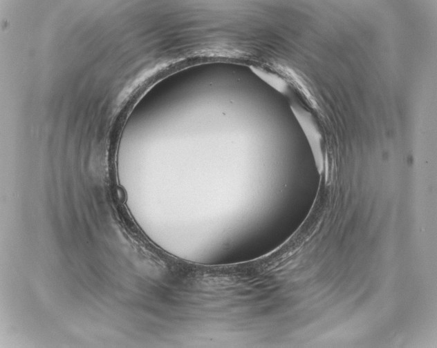 X0000087750531200705211039