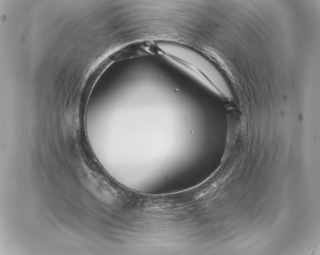 X0000087750532200705211039