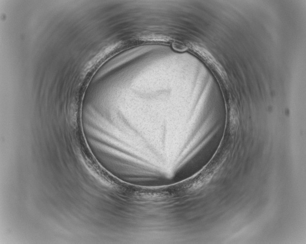 X0000087750533200705211039