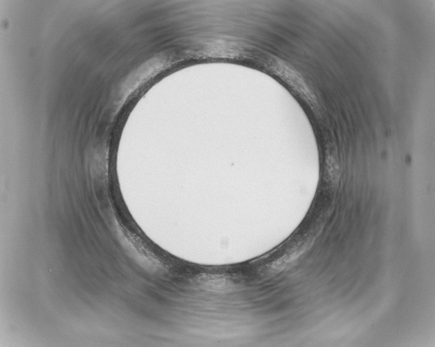 X0000087750534200705211039