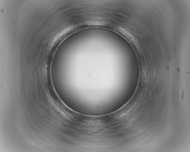 X0000087750535200705211039