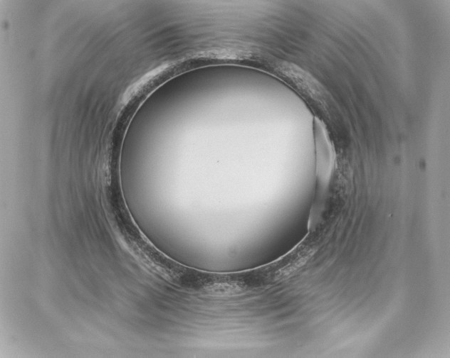 X0000087750536200705211039