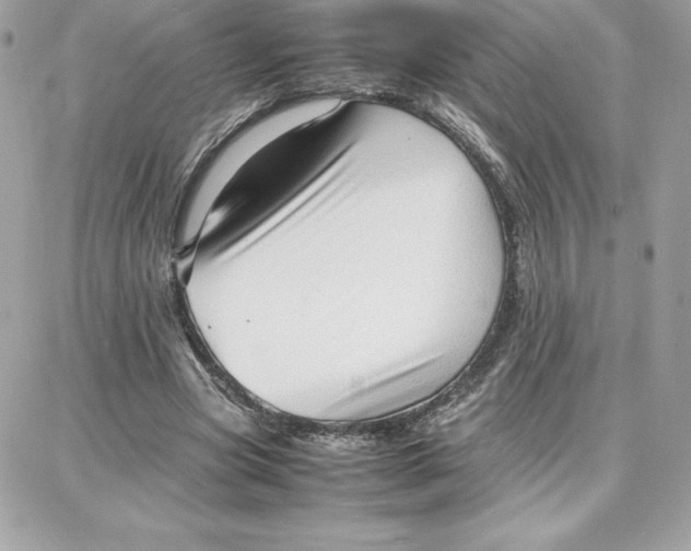 X0000087750537200705211040