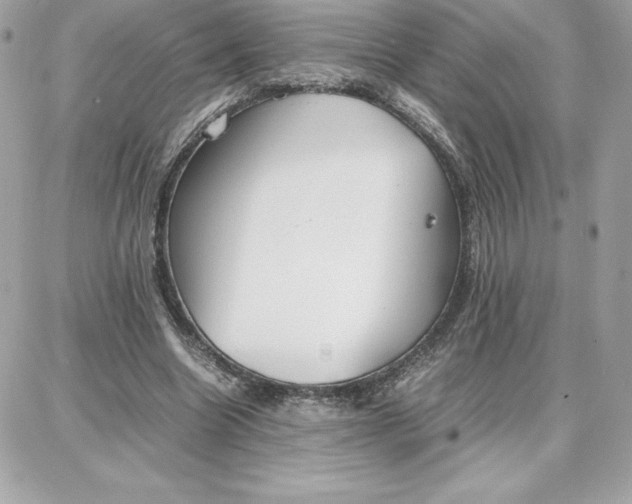 X0000087750538200705211040