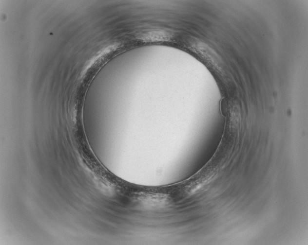 X0000087750539200705211040