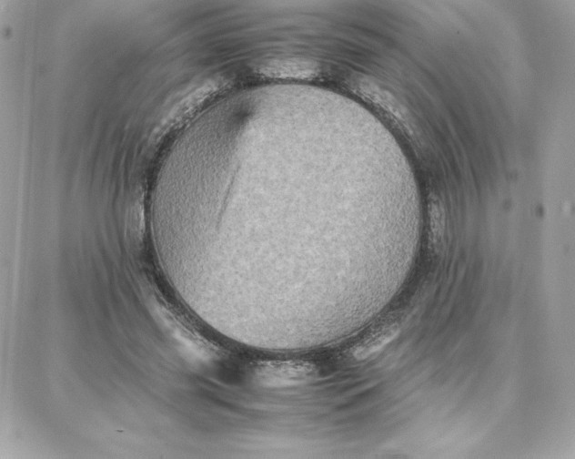 X0000087750541200705211040