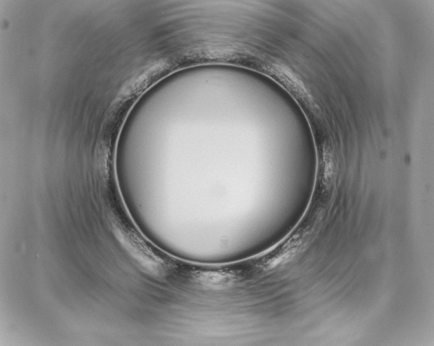 X0000087750542200705211040