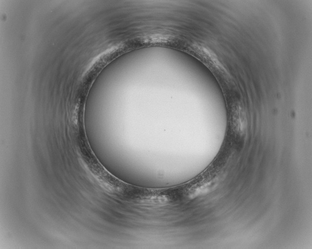 X0000087750543200705211040