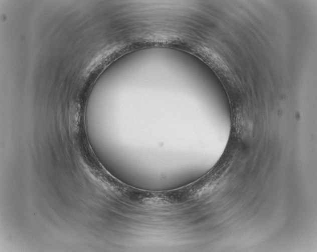 X0000087750544200705211040