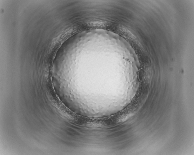 X0000087750545200705211040