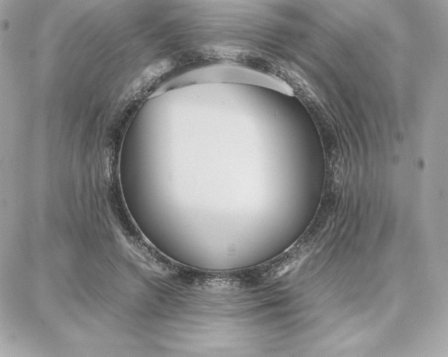 X0000087750546200705211040