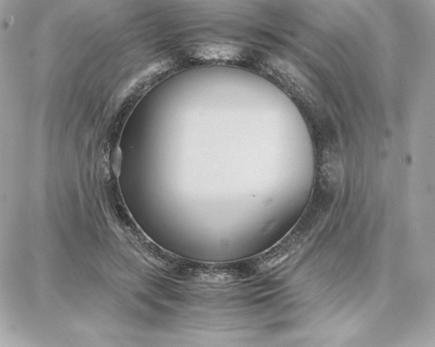 X0000087750547200705211040