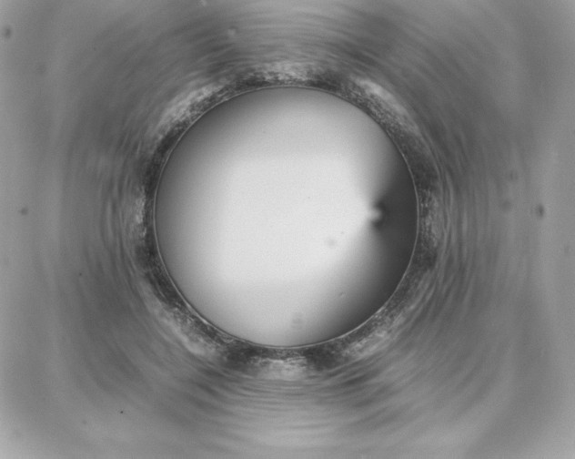 X0000087750548200705211040