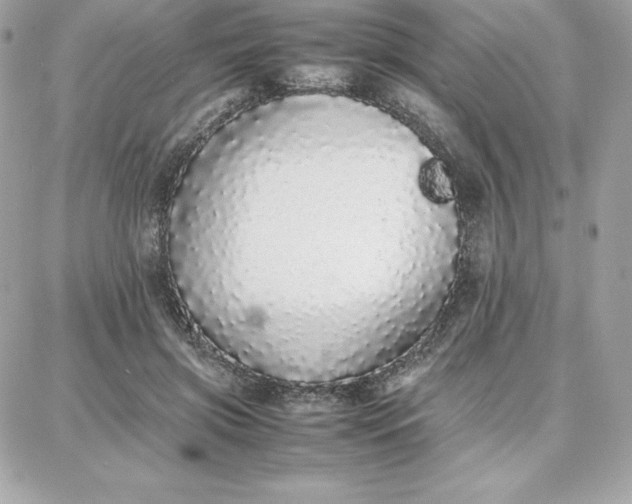 X0000087750549200705211040