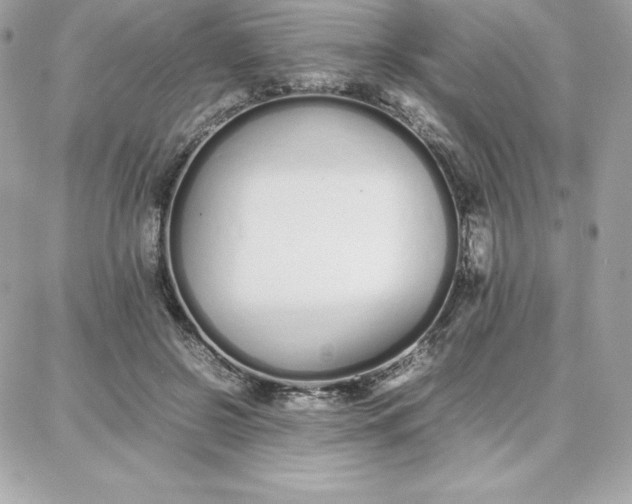 X0000087750550200705211040