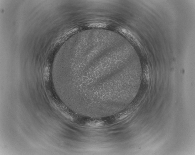 X0000087750551200705211040