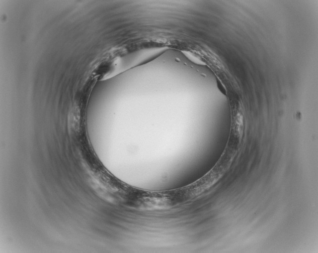 X0000087750552200705211040