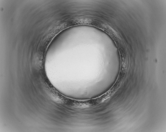 X0000087750553200705211040