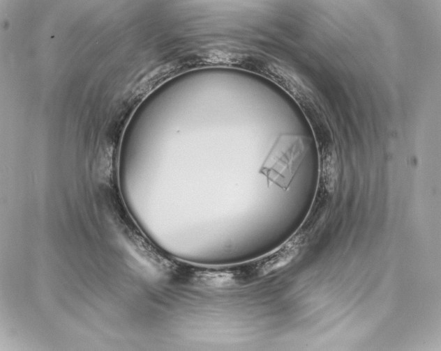 X0000087750554200705211040