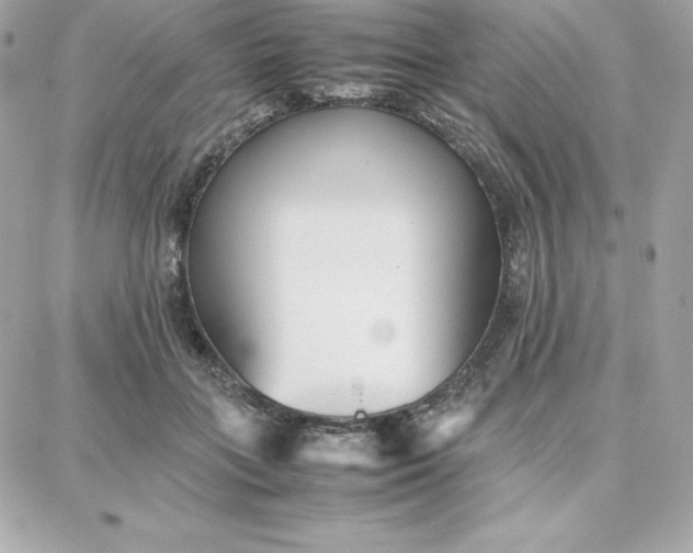 X0000087750555200705211040