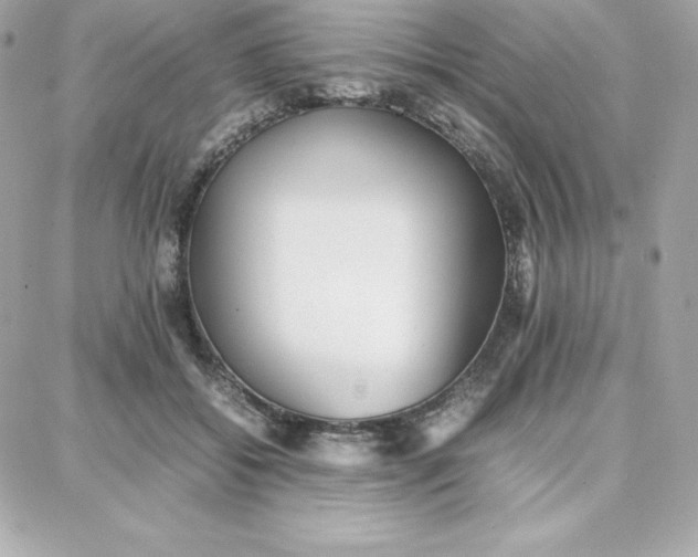 X0000087750556200705211040