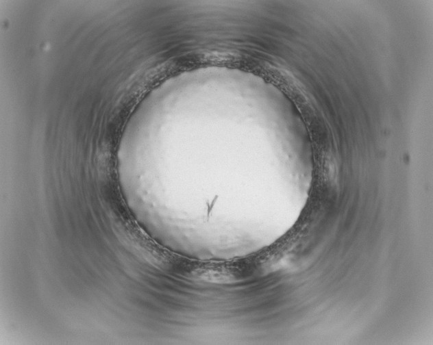 X0000087750557200705211040