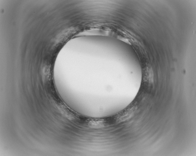 X0000087750560200705211040