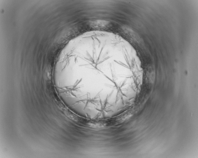 X0000087750561200705211040