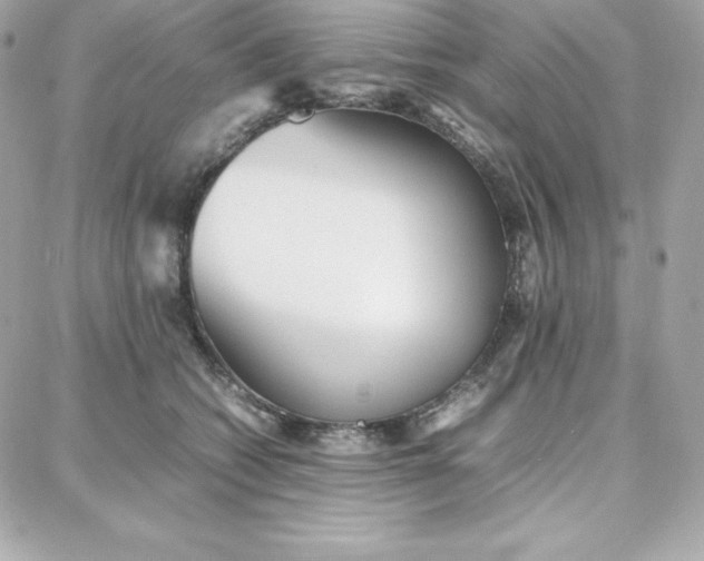 X0000087750562200705211040