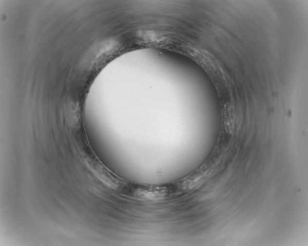 X0000087750563200705211040