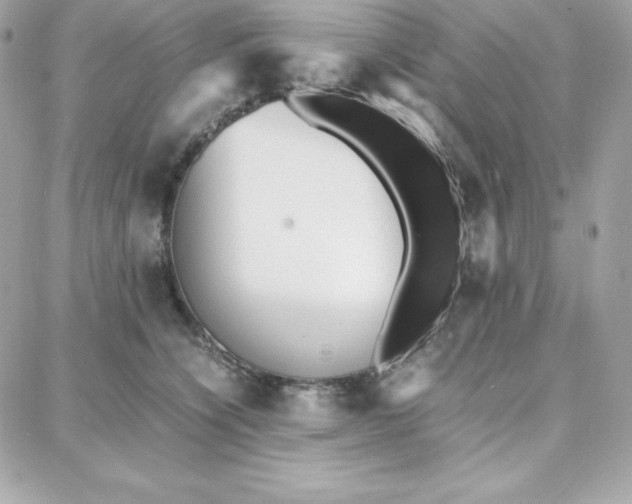 X0000087750564200705211040