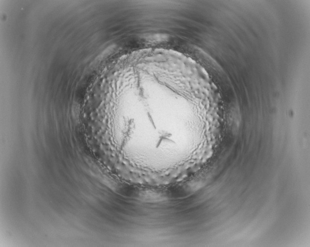 X0000087750565200705211040