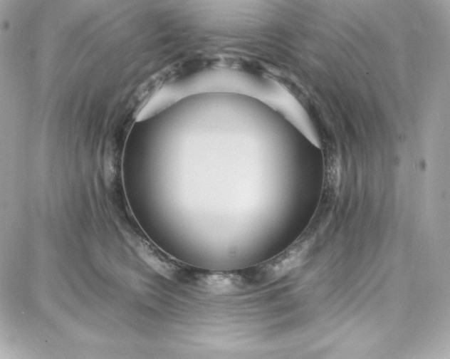 X0000087750566200705211040